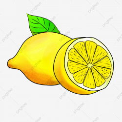 Hand Drawn Lemon Illustration Cut Lemon Green Leaves Vitamin ...