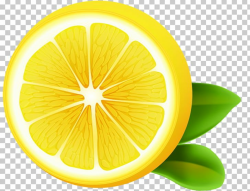 Lemon-lime Drink Sweet Lemon Citron PNG, Clipart, Circle ...