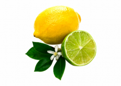 Transparent Clipart Image Lemon Png Image With Leaf - Clip ...