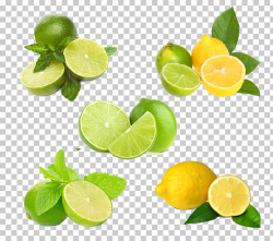 Lemon-lime drink Key lime Fruit, Lemon HQ s, green and ...