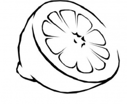 Free Lemon Outline Cliparts, Download Free Clip Art, Free ...