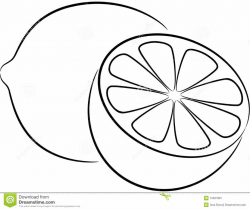 Lemon Clipart Black And White - Gallery | Clipart black ...