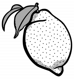 Free Lemon Outline Cliparts, Download Free Clip Art, Free ...