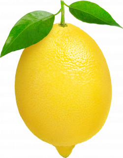 Lemon clipart transparent - WikiClipArt