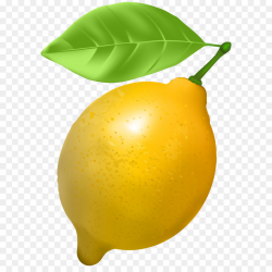 Lemon Clipart png download - 5851*8000 - Free Transparent ...