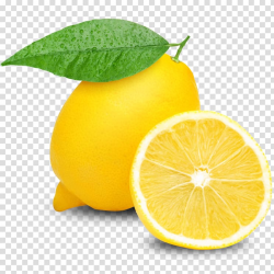 Yellow lemon fruit illustration, Lemon Fruit , Lemon ...