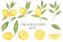 Lemon Clipart,Watercolor Clipart,Citrus Clipart,Citrus Print ...