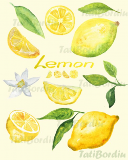 Lemon Watercolor Clip Art (clipart) in 2019 | Lemon ...