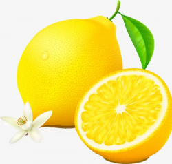 Yellow Lemon PNG, Clipart, Animation, Cut, Cut Open, Flowers ...