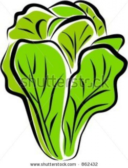 lettuce clipart free - Google Search | Clip art, Royalty ...