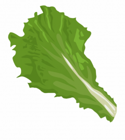 Leaf Vegetable Romaine - Lettuce Leaf Clip Art {#316428 ...