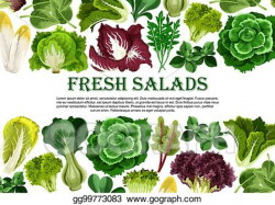 Clip Art Vector - Salad leaf, vegetable greens banner border ...