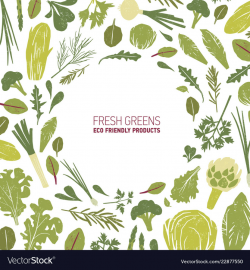 Round frame made of green plants salad leaves and