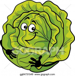 Vector Illustration - Cute cabbage vegetable cartoon ...