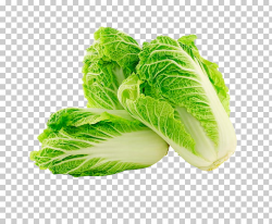 Chinese cuisine Napa cabbage Chinese cabbage Vegetable ...