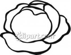 Lettuce Clipart Black And White | Clipart Panda - Free ...