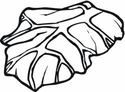 Free Lettuce Cliparts, Download Free Clip Art, Free Clip Art ...