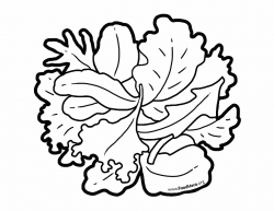 Salad greens school illustration. #foodhero #outline ...