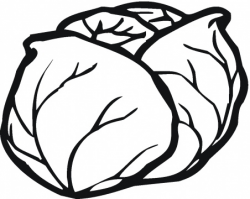 Free Lettuce Clipart Black And White, Download Free Clip Art ...
