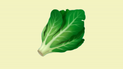 iPhone Users Now Have a Romaine Lettuce Emoji That\'s Free ...