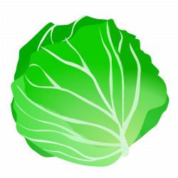 Lettuce clipart simple, Lettuce simple Transparent FREE for ...