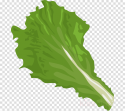 Green Grass Background clipart - Salad, Leaf, Vegetable ...