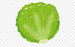 Cabbage clipart piece lettuce, Cabbage piece lettuce ...