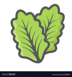 Lettuce colorful line icon vegetable salad leaf