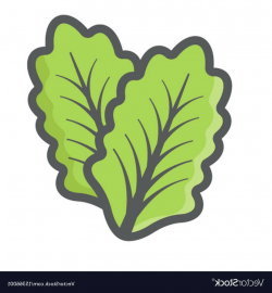 Best Vector Leaf Lettuce Vector Design » Free Vector Art ...