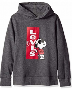 Levi\'s Levi\'s Boys\' Big Graphic Logo Pullover Hoodie, Grey Snoopy, L from  Amazon | parenting.com Shop