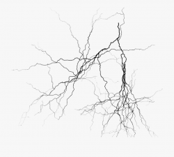 Lightning Strikes Png - Transparent Lightning Silhouette ...