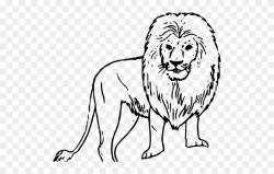 White Lion Clipart Black Background - Wild Animals Drawing Easy ...