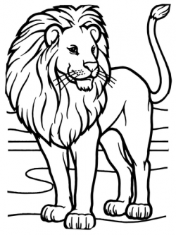 Male African Lion coloring page | Free Printable Coloring Pages