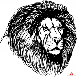 Free African Lion Cliparts, Download Free Clip Art, Free ...