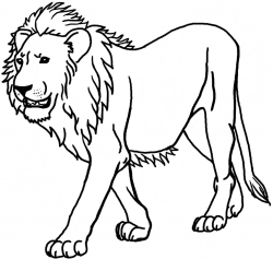 Lion Clipart Black And White | Free download best Lion ...