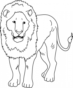 Free Black And White Lion Drawing, Download Free Clip Art ...