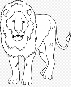 Lion Drawing clipart - Lion, transparent clip art