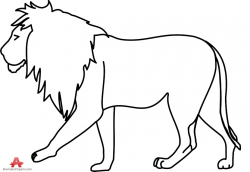 Outline lion clipart drawing free design download - ClipartPost