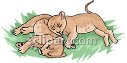 Sleeping Lion Cubs - Royalty Free Clipart Picture