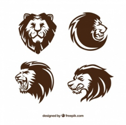 Lion Vectors, Photos and PSD files | Free Download