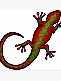 Aboriginal Gecko Lizard | Canvas Print