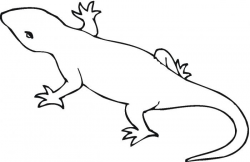 Lizard Clip Art Black And White Lizard outline template ...