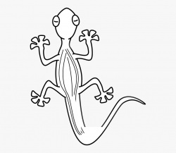 Lizard Gekko Reptile Animal Top White Sit - Lizard Clipart ...
