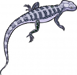 Blue Lizard | Clipart Panda - Free Clipart Images
