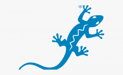 Goanna Clipart Leaping Lizard - Blue Lizard Sunscreen Logo ...