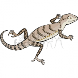 Light brown scaly lizard clipart. Royalty-free clipart # 129911