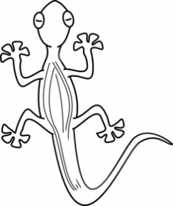 Lizard Outline clip art | Clip art, Art, Online art