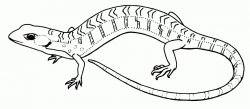 Free Lizard Outline Cliparts, Download Free Clip Art, Free ...