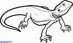 Simple Lizard Drawing - Drawing Art Gallery | Drawings, Art ...