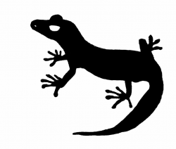 Gecko lizard clipart - Clip Art Library